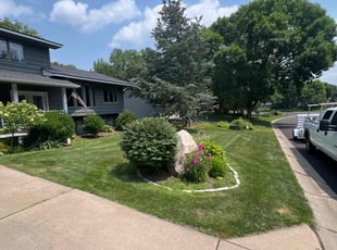 Lucy M.'s turf care service result