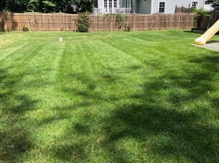 Victor U.'s lawn maintenance service result