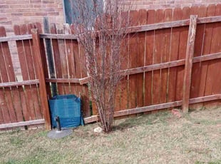 Dana D.'s Bush Trimming service result