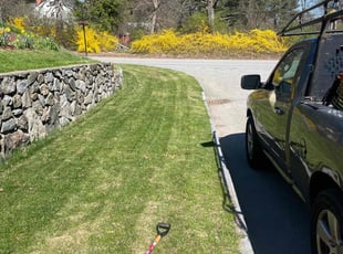 Angela M.'s turf maintenance service result