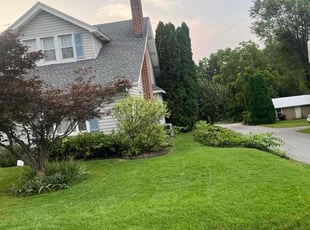 Laura C.'s turf maintenance service result