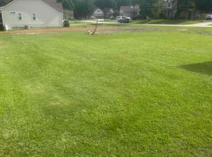 Ashanti A.'s turf care service result
