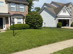 Deborah R.'s lawn care service result