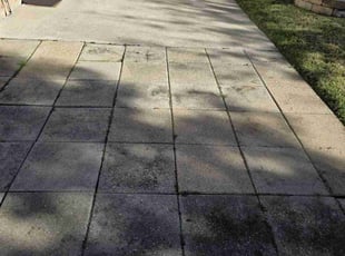 George B.'s lawn maintenance service result