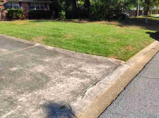 Angela K.'s turf maintenance service result