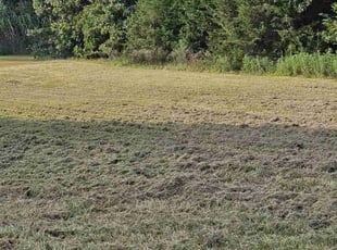 ricky y.'s lawn care services service result