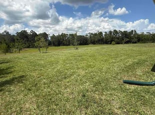 Wilma L.'s grass maintenance service result
