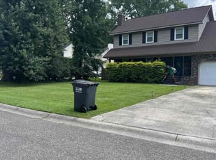 Evelyn K.'s yard work service result
