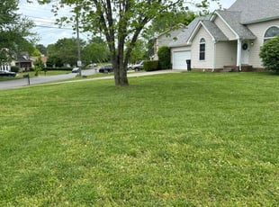 Renae B.'s grass cutting service result