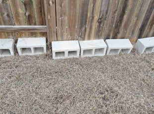 Shuichiro N.'s lawn maintenance service result