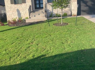 Bendu J.'s grass maintenance service result