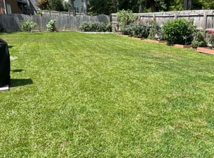 Chaille J.'s lawn care service result