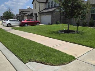 Justin C.'s turf care service result