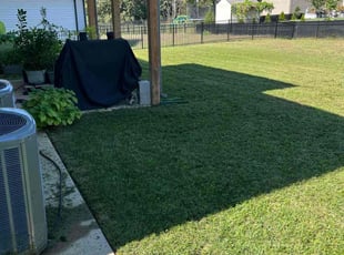Rich T.'s lawn maintenance service result