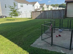 Shawn Denise K.'s turf care service result