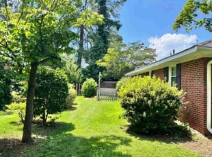 Leia G.'s lawn service service result