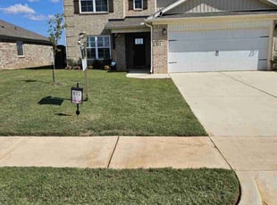 Taher H.'s turf care service result