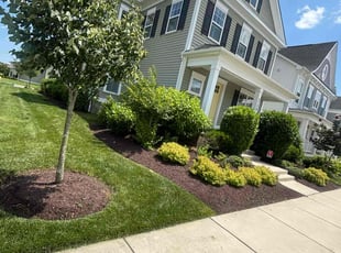 Sherika B.'s lawn service service result