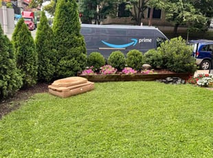 Deborah H.'s lawn care services service result