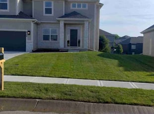 Stacy M.'s grass maintenance service result