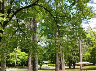 Jaimie R.'s turf maintenance service result