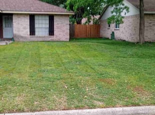 Patrick S.'s lawn care services service result