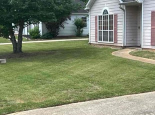 Rose G.'s grass maintenance service result