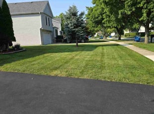 Alpesh P.'s turf care service result