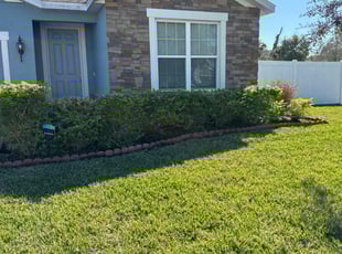 Paul P.'s Bush Trimming service result