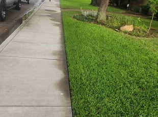 Linda J.'s lawn maintenance service result