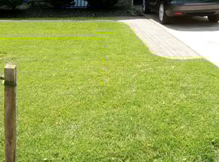 Diedra S.'s lawn service service result
