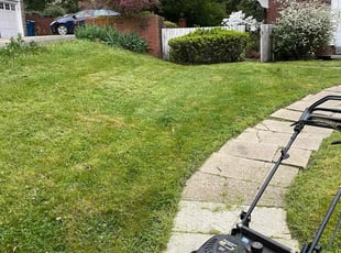 Richard L.'s grass cutting service result