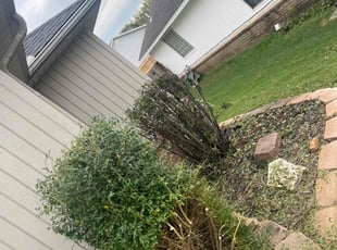 Glen R.'s Bush Trimming service result