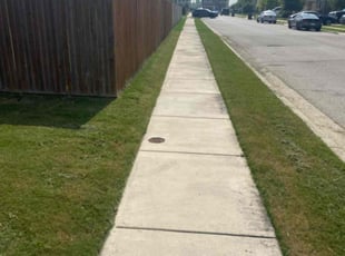 Matt E.'s lawn maintenance service result