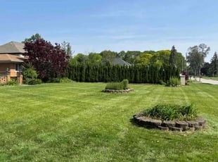 Sy H.'s lawn maintenance service result