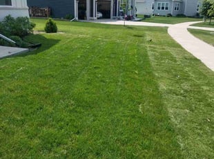 Mona C.'s lawn care services service result