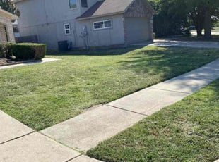 Taharkha E.'s lawn care services service result