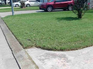 Joshua Y.'s turf care service result