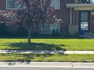 Debbie M.'s lawn care service result