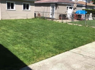 Eric H.'s lawn care services service result