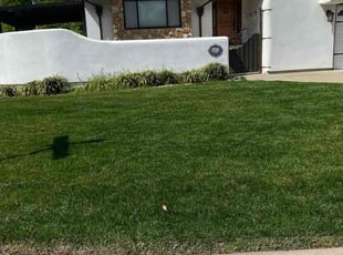 Robin H.'s yard service service result