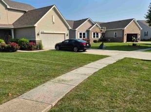Mathew O.'s turf care service result