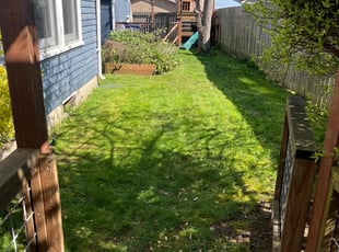 Steve V.'s grass maintenance service result