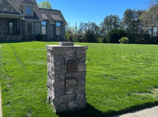 Allyn B.'s lawn care service result