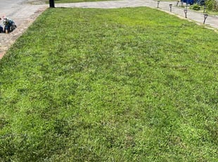 Ashley W.'s lawn maintenance service result