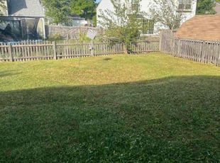 Gary H.'s Long Grass Cleanup service result