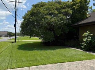 Robert P.'s grass cutting service result