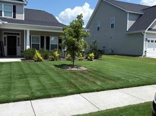 Undefined G.'s lawn care services service result