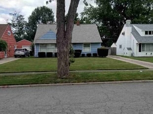 Dena W.'s lawn care services service result