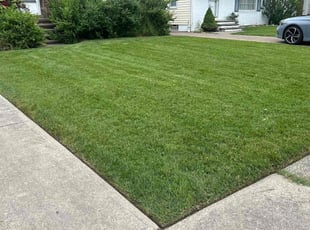 Mary R.'s lawn maintenance service result